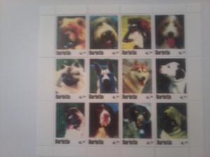 BURIATIA SHEET DOGS