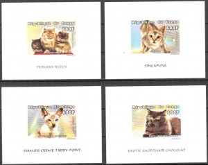 Congo 1999 Cats 4 S/S Deluxe MNH