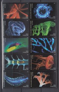 ​(J) USA Sc#5264-5273 5273a Bioluminescent Life Full Set of 10 Forever MNH