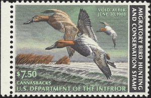 US Scott #RW49 MNH OG XF 1982 US Federal Duck Stamp