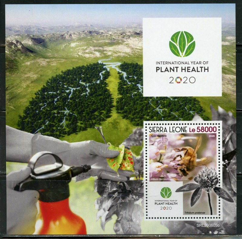 SIERRA LEONE 2020 INT'L YEAR OF PLANT HEALTH SOUVENIR SHEET MINT NH