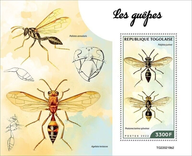 Togo - 2022 Wasps, Brazilian Wasp - Stamp Souvenir Sheet - TG220219b2