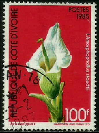 Ivory Coast #769A Used Stamp - Flowers (b)