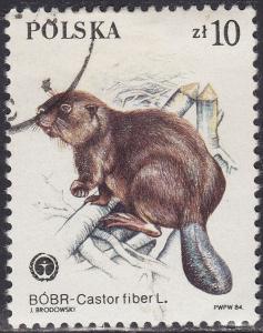 Poland 2653 Protected Animals, Castor Fiber 10.00zł 1984