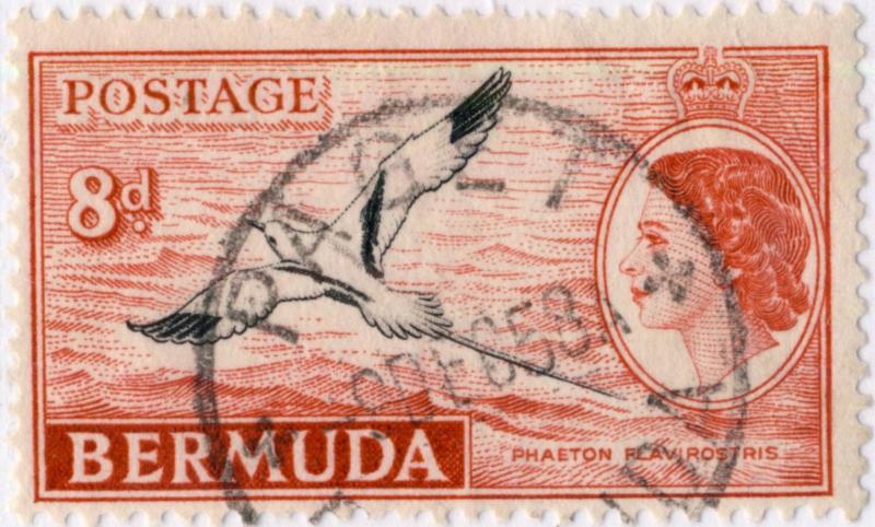 BERMUDA - 1958 - SG153a 8d Cancelled PAGET Single Circle Date Stamp