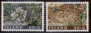 Iceland 1996 SC#B21-2 M (L437)