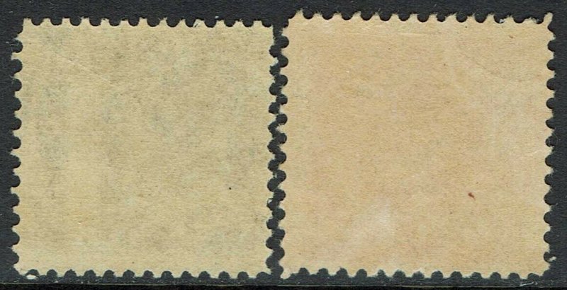 NEWFOUNDLAND 1894 AND 1896 DOG ½C