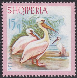 Albania #1013 Pelicans MH