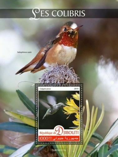 Z08 DJB190311b DJIBOUTI 2019 Hummingbirds MNH ** Postfrisch