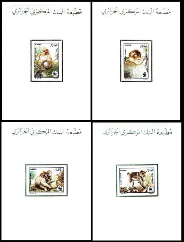 Algeria WWF Barbary Macaque 4 De-Luxes SG#989-992 SC#872-875 MI#972-975