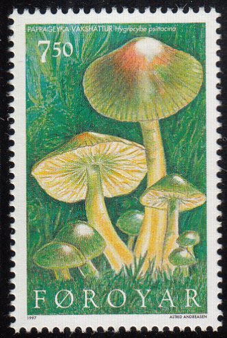 Faroe Islands 1997 MNH Sc #318 7.50k Hygrocybe psittacina Mushrooms