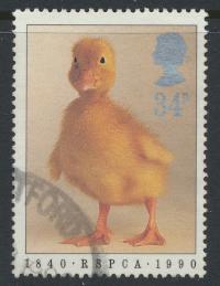 Great Britain SG 1481  Used   - RSPCA Animals 