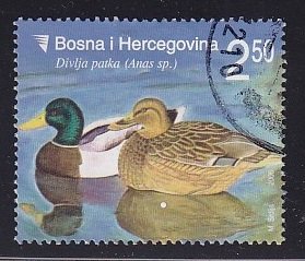 Bosnia and Herzegovina ( Bosniak )  #558  used  2006  wild animals 2.50m  ducks