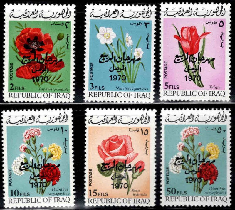 IRAQ Scott 538-543 complete 1970 flower set