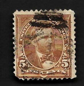 United States 1895 - U - Scott #270 *