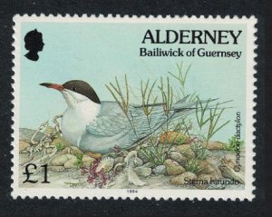 Alderney Bird Common tern and Bermuda grass 1991 MNH SG#A76