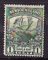 Newfoundland-Sc#115- id7-unused hinged 1c green Caribou-Suvla Bay-1919-