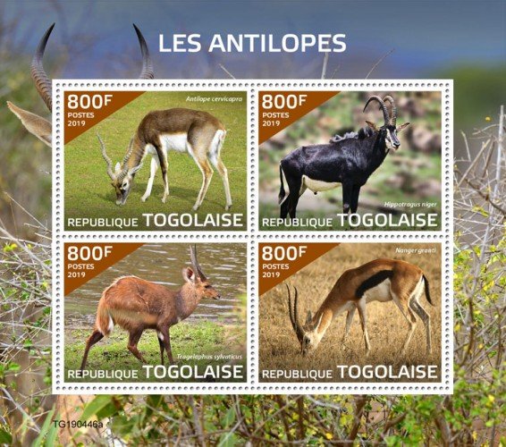 TOGO - 2019 - Antelopes - Perf 4v Sheet  - M N H