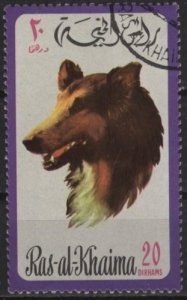 Ras al Khaima Mi567 (used cto) 20d dogs: collie (1971)