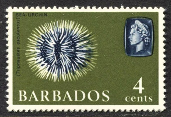 STAMP STATION PERTH - Barbados #270b QEII Definitive Issue Wmk.314 Sideways MNH