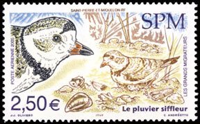 Scott #C80 Plover MNH