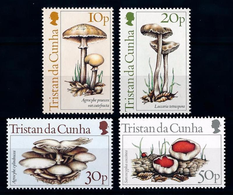 [65759] Tristan Da Cunha 1984 Mushrooms Pilze Champignons  MNH