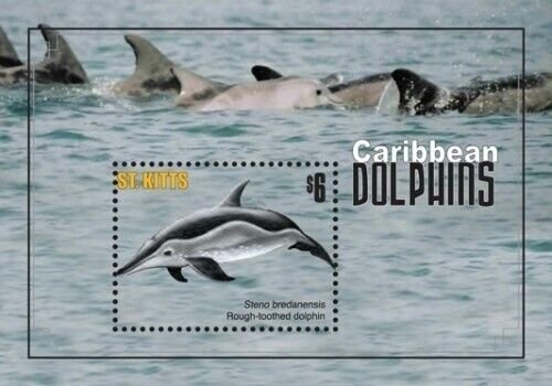 Saint Kitts 2010 - Dolphins Marine Life - Souvenir Stamp Sheet Scott #793 - MNH