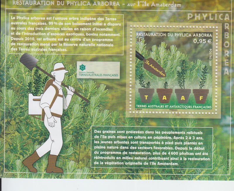 2019 FSAT Fr Antarctic Restoration of Phylica Arborea SS (Scott 612) MNH