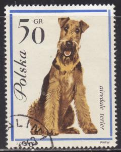 Poland 1118 Airedale Terrier 1963