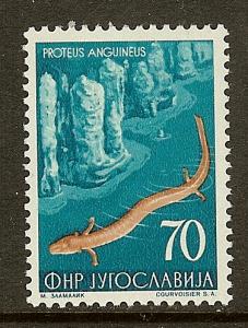 Yugoslavia, Scott #408, 70d Salamander, MLH