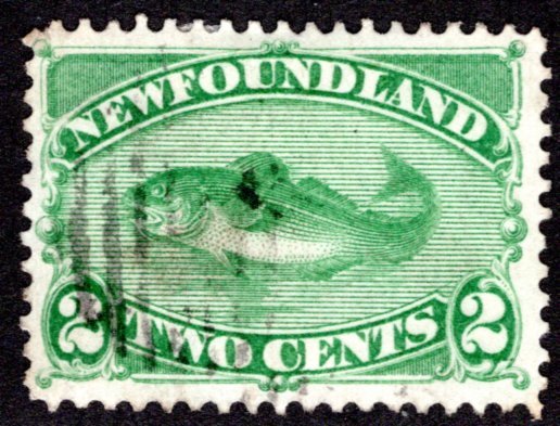 43, NSSC, Newfoundland, 2c, green, Codfish, Used, F/VF, Postage Stamp