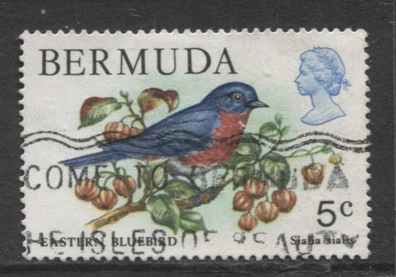 Bermuda - Scott 365 - Birds, Reptiles & Fish -1978 - FU- Single 5c Stamp