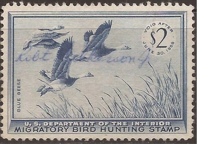 US Stamp - 1955 Blue Geese Duck Hunting Stamp Signed - Scott #RW22