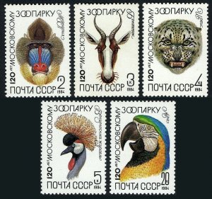 Russia 5226-5230,MNH. Moscow ZOO-120,1984.Mandrill,Gazelle,Leopard,Crane,Macaw.