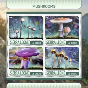 Sierra Leone - 2017 Mushrooms - 4 Stamp Sheet - SRL17605a