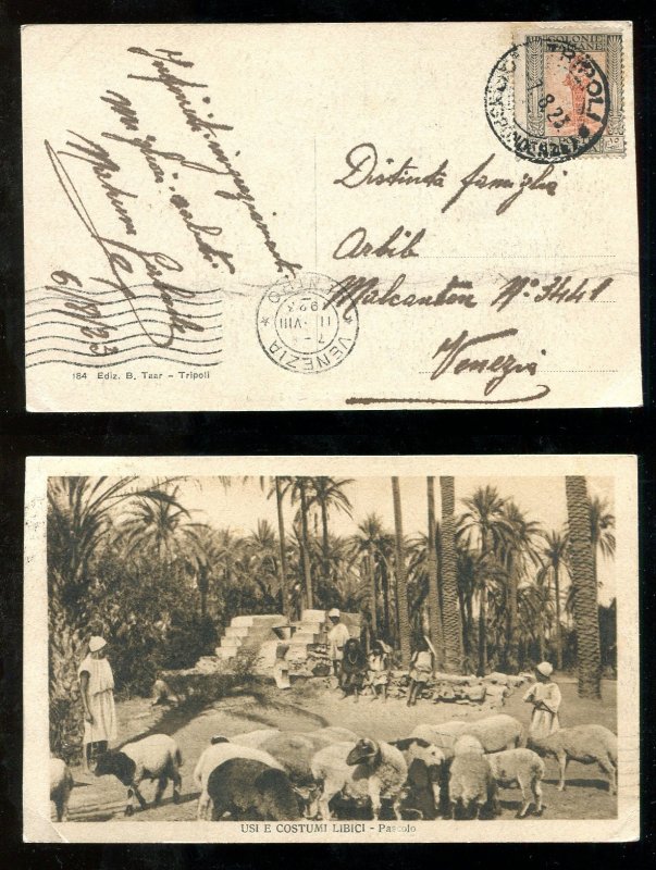 d398 - ITALY Colonies LIBYA 1923 Single Use on Picture Postcard. Sheep Shepherds