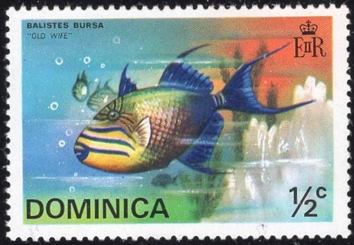 Dominica 421 - Mint-H - 1/2c Oldwife (Fish) (1975)