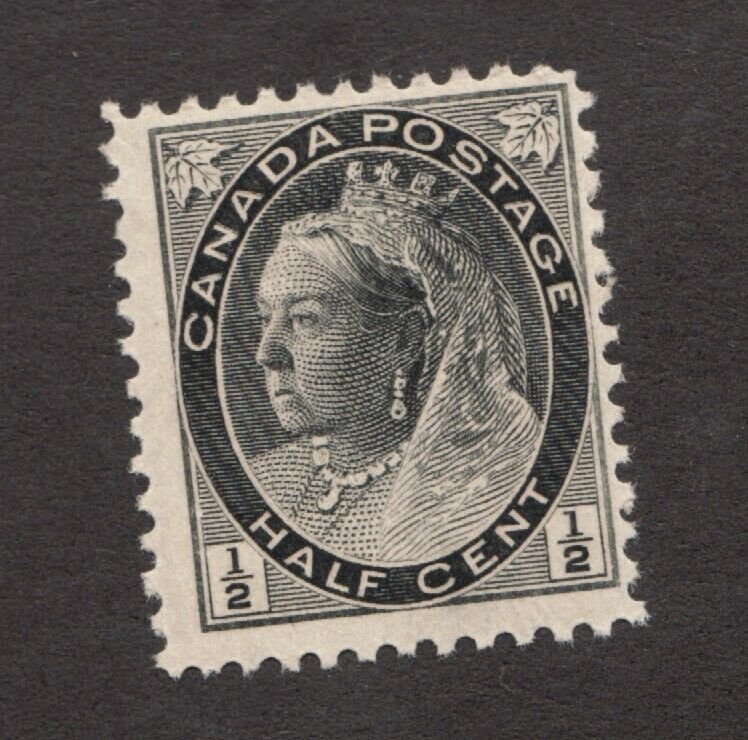 Canadian 1898  ½ cent postage stamp #74 ~ MNH ~ Fine ~ Superfeas - cv$15  