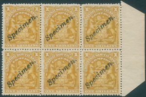 Rhodesia 1898 1s bistre Specimen SG84s block x6