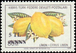 Turkish Republic of Northern Cyprus #66-69, Complete Set(4), 1979, Never Hinged