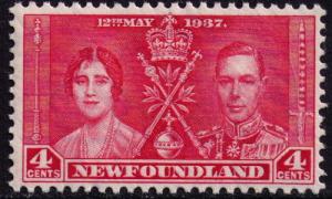 Newfoundland  # 231 Mint  VF NH  Cat $ 5