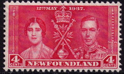 Newfoundland  # 231 Mint  VF NH  Cat $ 5