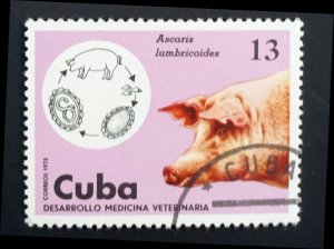 Cuba Sc# 2020 VETERINARY MEDICINE farm animals  13c pig hog  1975  used cto