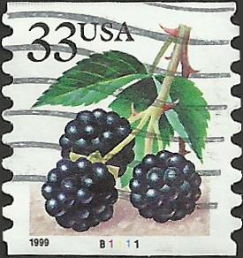 P.N.C. B1111 # 3304 USED BLACKBERRIES