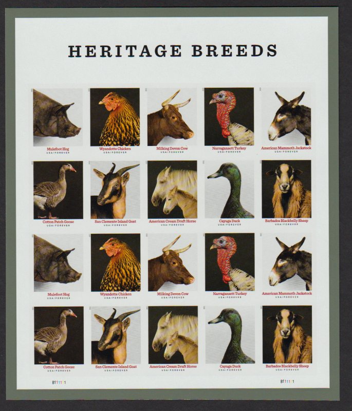 US 5583-5592 Imperf Without / No Die Cut NDC 2021 Heritage Breeds Pane of 20 #B