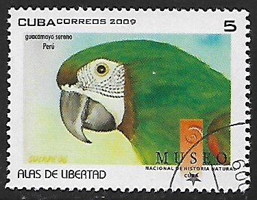 Cuba # 4986 - Parrots - Guacamayo sereno - unused / CTO....{Z9}