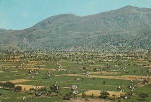 10940 Postcard Postcard CRETE PLATEAU OF LASSITHI GREECE-