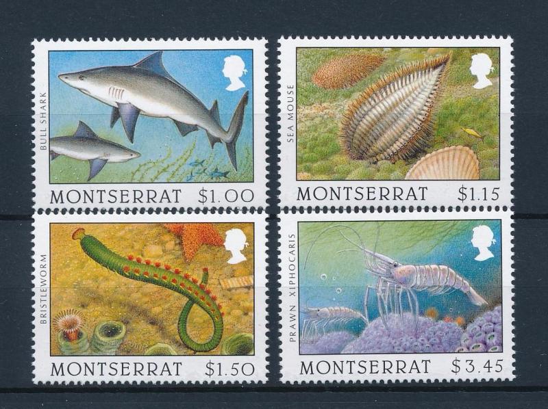 [40601] Montserrat 1996 Marine Life Shark Prawn Sea mouse MNH