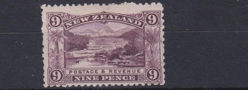 NEW ZEALAND  1898      S G 256  9D   PURPLE    MH   CAT £75 