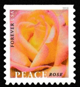 SC# 5280 - (50c)  Peace Rose - Used Single Off Paper